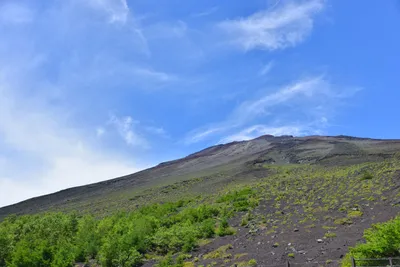 DSC_3617 (Large).JPG